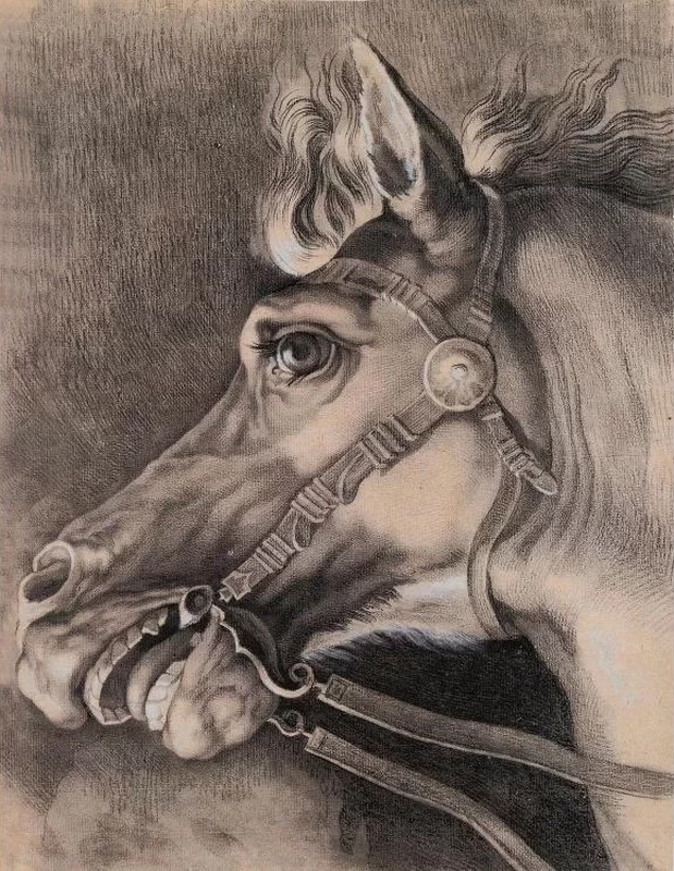 Testa di cavallo
